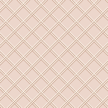 Landed Window - Blush - Lisee Ree Designs - Midwinter Memories - Cloud 9 Fabrics - Organic Cotton Poplin