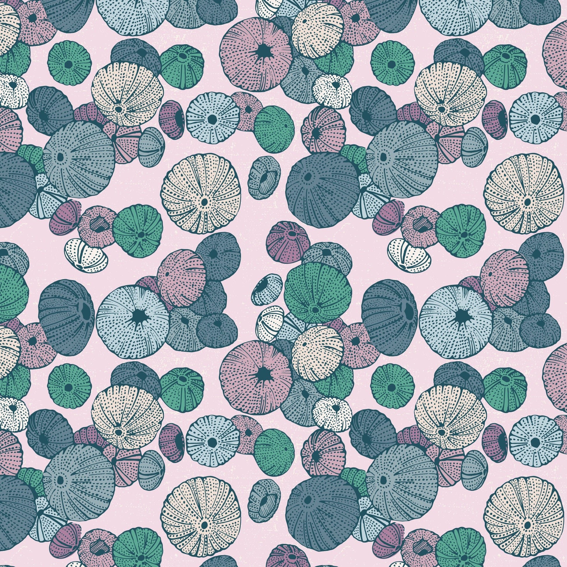Sea Urchin - Light Pink - Seashell Serenade - Jayme Murray - Cloud 9 Fabrics - Poplin - Simplifi Fabric