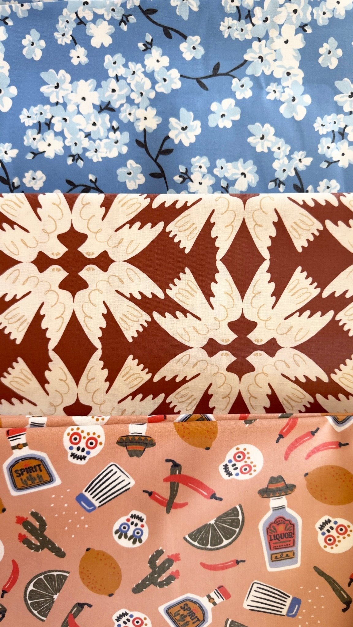 Skyward - Tanya Celia - Laminated Collective -Cloud9 Fabrics - Simplifi Fabric