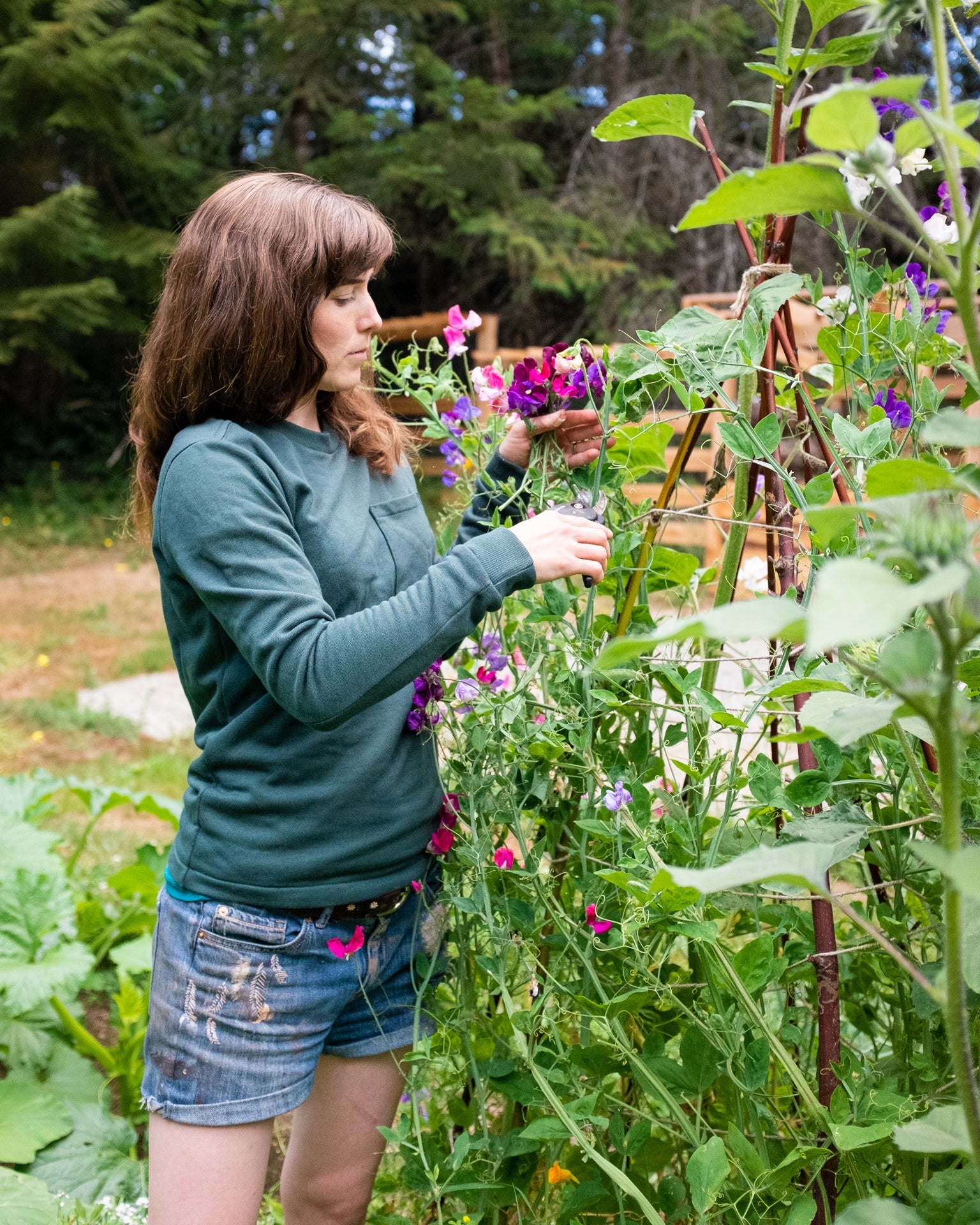 Woodley Tee Womens PDF Sewing Pattern - Thread Theory - Simplifi Fabric